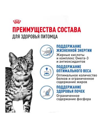 ROYAL CANIN Wet feed indoor sterilized 7+ for cats jelly 85 g 10 pcs - Buy Online on GoSupps.com