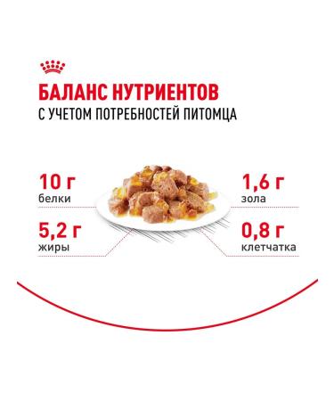 ROYAL CANIN Wet feed for elderly cats 12+ years jelly 85 g 5 pcs - Buy Online on GoSupps.com