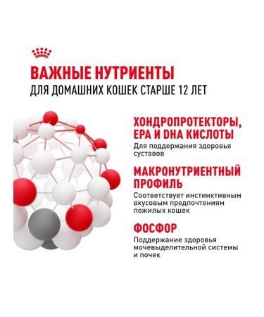 ROYAL CANIN Wet feed for elderly cats 12+ years jelly 85 g 5 pcs - Buy Online on GoSupps.com