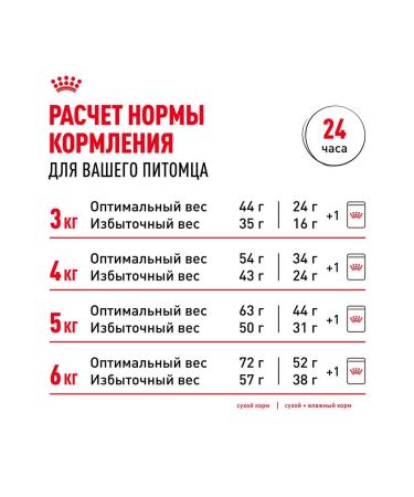 ROYAL CANIN Wet food for elderly cats 12+ years in sauce 85 g 5 pcs - Buy Online on GoSupps.com