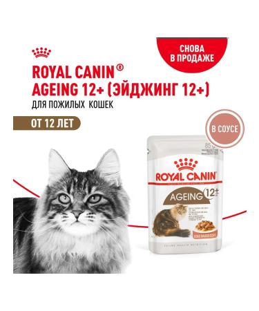 ROYAL CANIN Wet food for elderly cats 12+ years in sauce 85 g 5 pcs - Buy Online on GoSupps.com