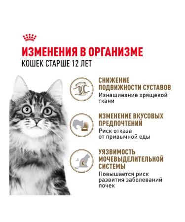 ROYAL CANIN Wet food for elderly cats 12+ years in sauce 85 g 5 pcs - Buy Online on GoSupps.com