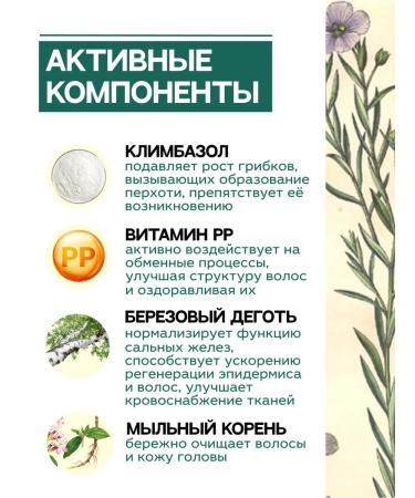 Grandma Agafia's Recipes Degtyer healing shampoo from seborrhea 2 pcs - Buy Online on GoSupps.com