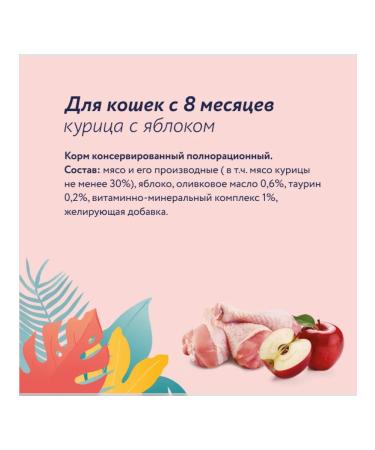 Florida Canned food for cats an apple chicken 100 g wet food - Buy Online on GoSupps.com