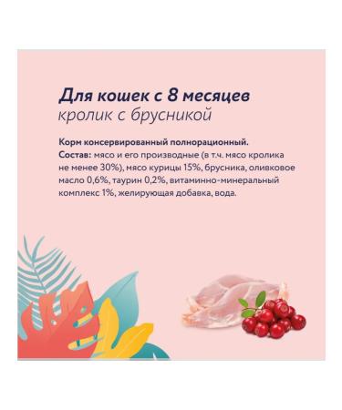 Florida Canned food for cats lingonberry rabbit 100 g wet food - Buy Online on GoSupps.com