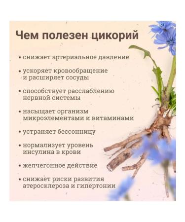 EcoLogic Tsikoria soluble natural 85 g with ginseng - Buy Online on GoSupps.com