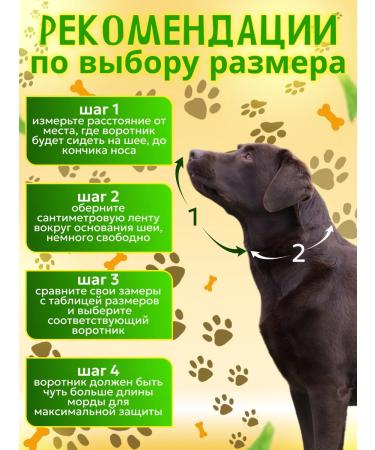 CAT&DOG Veterinary protective collar for cats and dogs - Buy Online on GoSupps.com