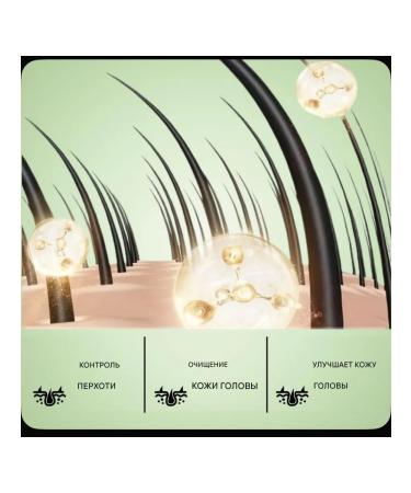 CNMOFAXIN Cleaning balancing shampoo from dandruff and oily