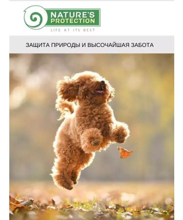 Nature's Protection Goodies for adult dogs of all breeds with red wool 150g - Buy Online on GoSupps.com