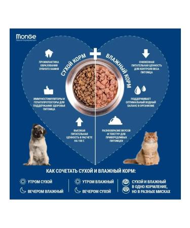 MONGE Sterilated dry food for sterilized cats 1.5 kg - Buy Online on GoSupps.com
