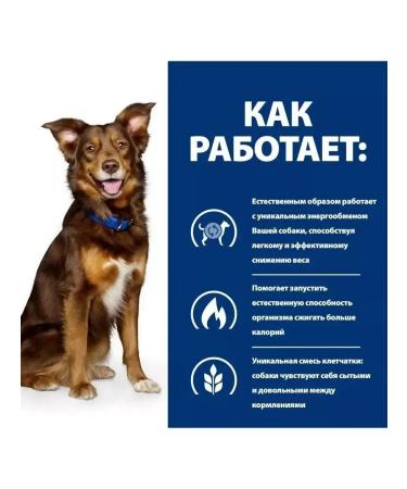 HILL'S META DREAM FOR DOSSED DOSSED OF THE EXPRECT OF 12 kg - Buy Online on GoSupps.com