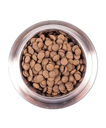 MONGE Adult dry dog food 2.5 kg - Buy Online on GoSupps.com