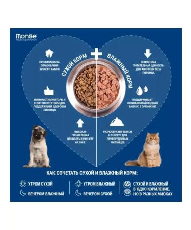 MONGE Mini adult dry dog food 7.5 kg - Buy Online on GoSupps.com