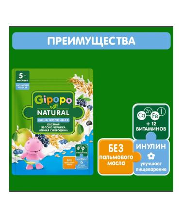 GIPOPO Oatmeal porridge apple blueberries black currants 170 g 3 pcs - Buy Online on GoSupps.com