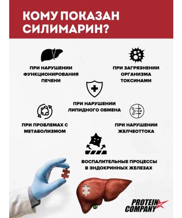 PROTEINCOMPANY Silimarin Prohopsha for the liver 60 capsules - Buy Online on GoSupps.com