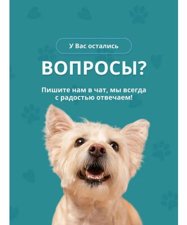 Ecuphar Otoklin Lotion for cleaning the ears of dogs and cats (drops) - Buy Online on GoSupps.com