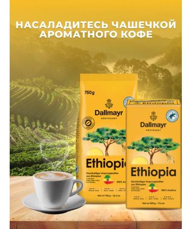 dallmayr Ethiopia coffee in grains 500 g - Buy Online on GoSupps.com