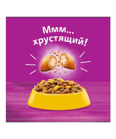 WHISKAS Suy cat food with chicken and turkey 5kg - Buy Online on GoSupps.com