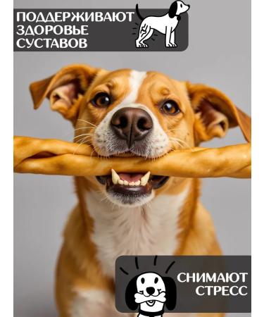 FOR RODENT DOG Dog delicities horse leather (tube) 30 cm 300 g - Buy Online on GoSupps.com