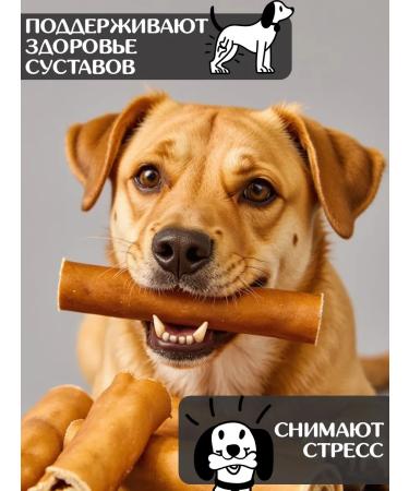 FOR RODENT DOG Dog delicities horse leather (tube) 10 cm 1000 g - Buy Online on GoSupps.com