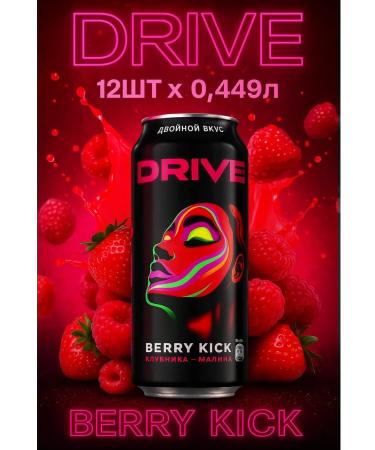 Driveme Energetic Drive Me berry 12pc x 0.449 l