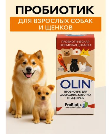 Sly Rat An animal probiotic for dogs and cats