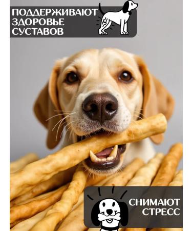 FOR RODENT DOG Dog delicities lamb skin (tube) 30 cm 100 g - Buy Online on GoSupps.com