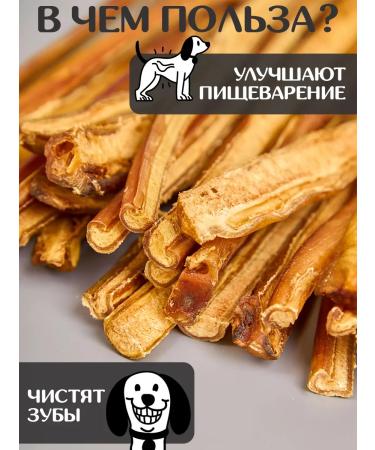 FOR RODENT DOG Dog delicacies bull root in the context 30 cm 100 g - Buy Online on GoSupps.com