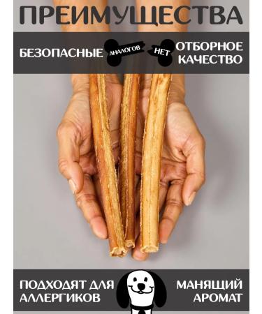 FOR RODENT DOG Dog delicacies bull root in the context 30 cm 1000 g - Buy Online on GoSupps.com