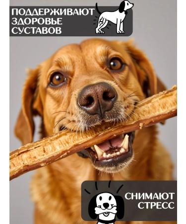 FOR RODENT DOG Dog delicacies bull root in the context 30 cm 1000 g - Buy Online on GoSupps.com