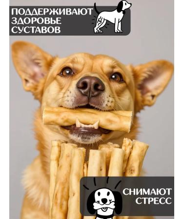 FOR RODENT DOG Dog delicities lamb skin (tube) 10 cm 100 g - Buy Online on GoSupps.com