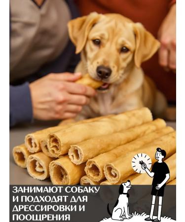 FOR RODENT DOG Dog delicities lamb skin (tube) 10 cm 100 g - Buy Online on GoSupps.com