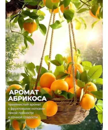 Lilea Liquid hand soap in soft packaging - Buy Online on GoSupps.com