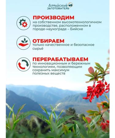 Altai procurement officer Fitomplex Berberin for weight loss 60 capsules - Buy Online on GoSupps.com