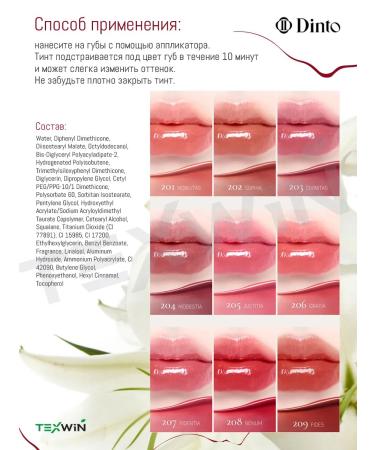 Dinto Lip tint with glossy finish Blur-Glowy Lip Tint - Buy Online on GoSupps.com