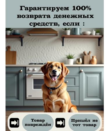 AWARD Wet feed for dogs 200g. 4 pcs - Buy Online on GoSupps.com