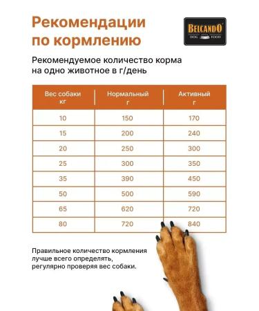 Dog food for dry Belcando Multi-Croc 4 kg - Buy Online on GoSupps.com