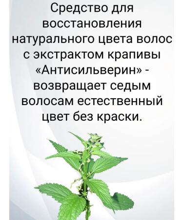 ANTISILVERIN A tool to restore natural hair color - Buy Online on GoSupps.com