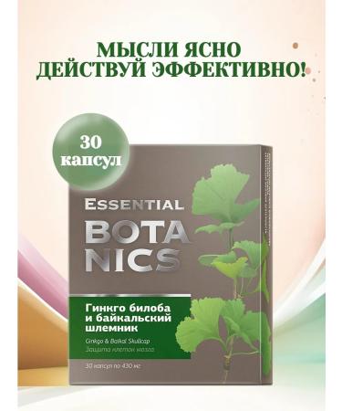 Ginkgo biloba and Baikal helmet