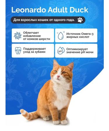 Leonardo Cat Food Feed for cats dry Leonardo 1.8 kg - Buy Online on GoSupps.com