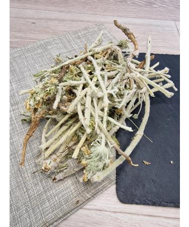 Woolly panzeria 250 g - Buy Online on GoSupps.com