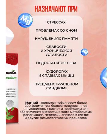 PlaPlamela Magnesium B6 400 mg Sasher honey - Buy Online on GoSupps.com