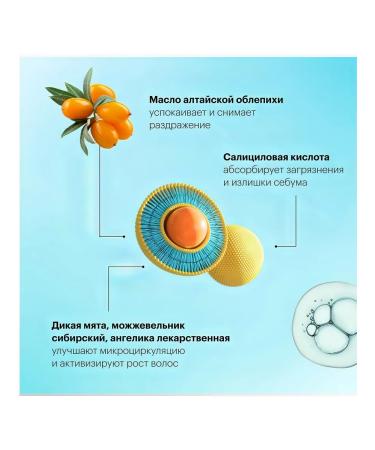 Natura Siberica Oblepikha Detox shampoo deep hair cleansing 1 liter - Buy Online on GoSupps.com