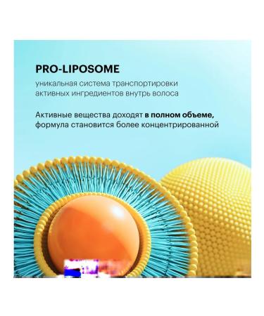 Natura Siberica Oblepikha Detox shampoo deep hair cleansing 1 liter - Buy Online on GoSupps.com