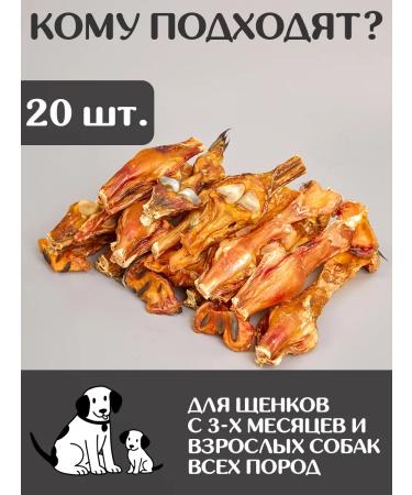 FOR RODENT DOG Dog treating horse tendon with a bone of 20 cm 1000 g - Buy Online on GoSupps.com