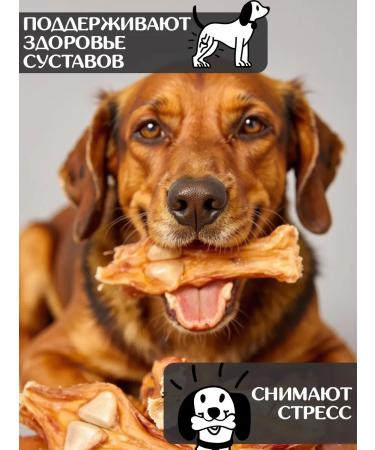 FOR RODENT DOG Dog treating horse tendon with a bone of 20 cm 1000 g - Buy Online on GoSupps.com