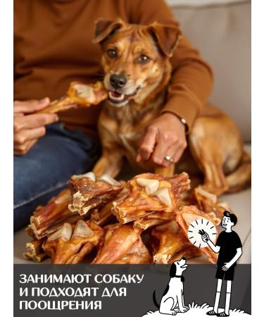 FOR RODENT DOG Dog treating horse tendon with a bone of 20 cm 1000 g - Buy Online on GoSupps.com