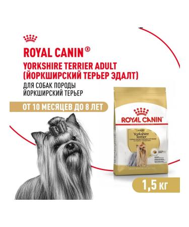 ROYAL CANIN Dry food for dogs Yorkshire Terrier Adult 1.5 kg