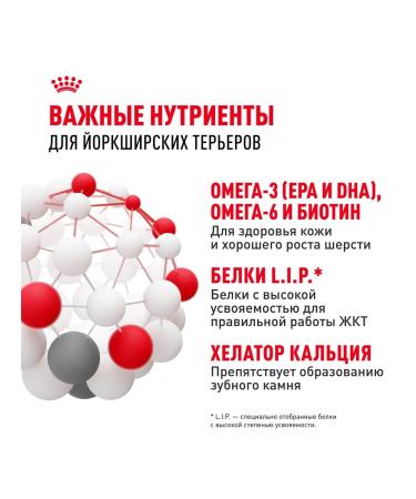 ROYAL CANIN Dry food for dogs Yorkshire Terrier Adult 1.5 kg - Buy Online on GoSupps.com