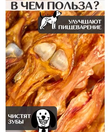 FOR RODENT DOG Dog treating horse tendon with a bone of 20 cm 100 g - Buy Online on GoSupps.com